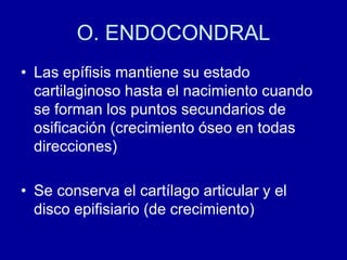 O. ENDOCONDRAL
• Las epífisis mantiene su estado
cartilaginoso hasta el nacimiento cuando
se forman los puntos secundarios de
osificación (crecimiento óseo en todas
direcciones)
• Se conserva el cartílago articular y el
disco epifisiario (de crecimiento)
 