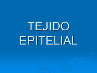 TEJIDO
EPITELIAL
 