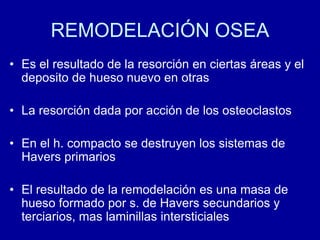 REMODELACIÓN OSEA
• Es el resultado de la resorción en ciertas áreas y el
deposito de hueso nuevo en otras
• La resorción dada por acción de los osteoclastos
• En el h. compacto se destruyen los sistemas de
Havers primarios
• El resultado de la remodelación es una masa de
hueso formado por s. de Havers secundarios y
terciarios, mas laminillas intersticiales
 