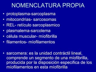 NOMENCLATURA PROPIA
• protoplasma-sarcoplasma
• mitocondrias- sarcosomas
• REL- retículo sarcoplasmico
• plasmalema-sarcolema
• célula muscular- míofibrilla
• filamentos- míofilamentos
• sarcomera: es la unidad contráctil lineal,
comprende un segmento de una míofibrilla,
producida por la disposición especifica de los
míofilamentos en esta míofibrilla
 