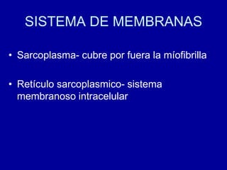 SISTEMA DE MEMBRANAS
• Sarcoplasma- cubre por fuera la míofibrilla
• Retículo sarcoplasmico- sistema
membranoso intracelular
 