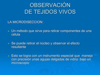 OBSERVACIÓN
DE TEJIDOS VIVOS
LA MICRODISECCION:
➢ Un método que sirve para retirar componentes de una
célula
➢ Se puede retirar el núcleo y observar el efecto
resultante
➢ Esto se logra con un instrumento especial que maneja
con precisión unas agujas delgadas de vidrio bajo un
microscopio
 