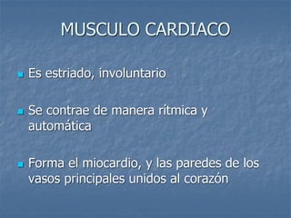 MUSCULO CARDIACO
◼ Es estriado, involuntario
◼ Se contrae de manera rítmica y
automática
◼ Forma el miocardio, y las paredes de los
vasos principales unidos al corazón
 