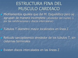 ESTRUCTURA FINA DEL
MUSCULO CARDIACO
◼ Míofilamentos iguales que del M. Esquelético pero se
agrupan de manera incompleta (alrededor del núcleo, y
por las ramificaciones y discos intercalares)
◼ Túbulos T diámetro mayor localizados en línea Z
◼ Retículo sarcoplasmico alrededor de los túbulos T, sin
cisternas terminales
◼ Existen discos intercalados en las líneas Z
 