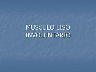 MUSCULO LISO
INVOLUNTARIO
 