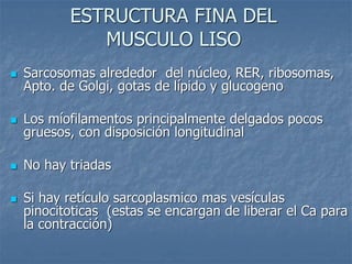 ESTRUCTURA FINA DEL
MUSCULO LISO
◼ Sarcosomas alrededor del núcleo, RER, ribosomas,
Apto. de Golgi, gotas de lípido y glucogeno
◼ Los míofilamentos principalmente delgados pocos
gruesos, con disposición longitudinal
◼ No hay triadas
◼ Si hay retículo sarcoplasmico mas vesículas
pinocitoticas (estas se encargan de liberar el Ca para
la contracción)
 