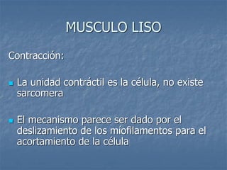 MUSCULO LISO
Contracción:
◼ La unidad contráctil es la célula, no existe
sarcomera
◼ El mecanismo parece ser dado por el
deslizamiento de los míofilamentos para el
acortamiento de la célula
 