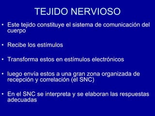 TEJIDO NERVIOSO
• Este tejido constituye el sistema de comunicación del
cuerpo
• Recibe los estímulos
• Transforma estos en estímulos electrónicos
• luego envía estos a una gran zona organizada de
recepción y correlación (el SNC)
• En el SNC se interpreta y se elaboran las respuestas
adecuadas
 