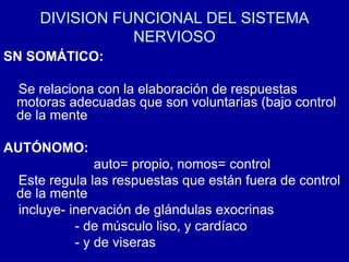 DIVISION FUNCIONAL DEL SISTEMA
NERVIOSO
SN SOMÁTICO:
Se relaciona con la elaboración de respuestas
motoras adecuadas que son voluntarias (bajo control
de la mente
AUTÓNOMO:
auto= propio, nomos= control
Este regula las respuestas que están fuera de control
de la mente
incluye- inervación de glándulas exocrinas
- de músculo liso, y cardíaco
- y de viseras
 