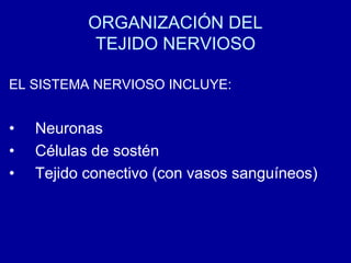 ORGANIZACIÓN DEL
TEJIDO NERVIOSO
EL SISTEMA NERVIOSO INCLUYE:
• Neuronas
• Células de sostén
• Tejido conectivo (con vasos sanguíneos)
 