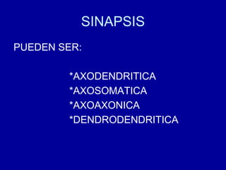 SINAPSIS
PUEDEN SER:
*AXODENDRITICA
*AXOSOMATICA
*AXOAXONICA
*DENDRODENDRITICA
 