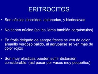ERITROCITOS
• Son células discoides, aplanadas, y bicóncavas
• No tienen núcleo (se les llama también corpúsculos)
• En frotis delgado de sangre fresca se ven de color
amarillo verdoso pálido, al agruparse se ven mas de
color rojizo
• Son muy elásticas pueden sufrir distorsión
considerable (así pasar por vasos muy pequeños)
 
