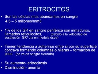 ERITROCITOS
• Son las células mas abundantes en sangre
4.5 – 5 millones/mm3
• 1% de los GR en sangre periférica son inmaduros,
llamados reticulocitos, (debido a la velocidad de
sustitución GR/ día en medula ósea)
• Tienen tendencia a adherirse entre si por su superficie
cóncava formando columnas o hileras – formación de
pilas (se ve en sangre extraída)
• Su aumento- eritrocitosis
• Disminución- anemia
 