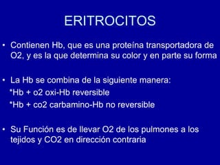 ERITROCITOS
• Contienen Hb, que es una proteína transportadora de
O2, y es la que determina su color y en parte su forma
• La Hb se combina de la siguiente manera:
*Hb + o2 oxi-Hb reversible
*Hb + co2 carbamino-Hb no reversible
• Su Función es de llevar O2 de los pulmones a los
tejidos y CO2 en dirección contraria
 