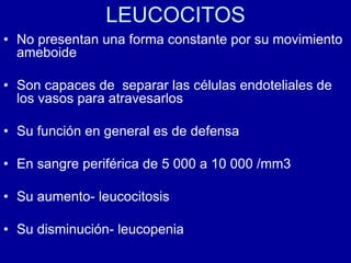 LEUCOCITOS
• No presentan una forma constante por su movimiento
ameboide
• Son capaces de separar las células endoteliales de
los vasos para atravesarlos
• Su función en general es de defensa
• En sangre periférica de 5 000 a 10 000 /mm3
• Su aumento- leucocitosis
• Su disminución- leucopenia
 