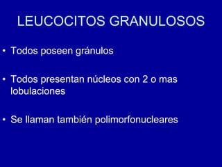 LEUCOCITOS GRANULOSOS
• Todos poseen gránulos
• Todos presentan núcleos con 2 o mas
lobulaciones
• Se llaman también polimorfonucleares
 