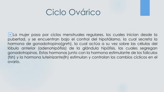 Ciclo Ovárico
▶︎La mujer pasa por ciclos menstruales regulares, los cuales inician desde la
pubertad, y se encuentran bajo el control del hipotálamo, la cual secreta la
hormona de gonadotropina(gnrh), la cual actúa a su vez sobre las células del
lóbulo anterior (adenohipófisis) de la glándula hipófisis, las cuales segregan
gonadotropinas. Estas hormonas junto con la hormona estimulante de los folículos
(fsh) y la hormona luteinizante(lh) estimulan y controlan los cambios cíclicos en el
ovario.
 