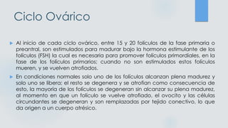 Ciclo Ovárico
 Al inicio de cada ciclo ovárico, entre 15 y 20 folículos de la fase primaria o
preantral, son estimulados para madurar bajo la hormona estimulante de los
folículos (FSH) la cual es necesaria para promover folículos primordiales, en la
fase de los folículos primarios; cuando no son estimulados estos folículos
mueren, y se vuelven atrofiados.
 En condiciones normales solo uno de los folículos alcanzan plena madurez y
solo uno se libera; el resto se degenera y se atrofian como consecuencia de
esto, la mayoría de los folículos se degeneran sin alcanzar su plena madurez,
al momento en que un folículo se vuelve atrofiado, el ovocito y las células
circundantes se degeneran y son remplazadas por tejido conectivo, lo que
da origen a un cuerpo atrésico.
 