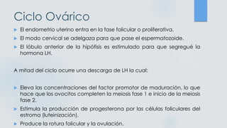 Ciclo Ovárico
 El endometrio uterino entra en la fase folicular o proliferativa.
 El modo cervical se adelgaza para que pase el espermatozoide.
 El lóbulo anterior de la hipófisis es estimulado para que segregué la
hormona LH.
A mitad del ciclo ocurre una descarga de LH la cual:
 Eleva las concentraciones del factor promotor de maduración, lo que
hace que los ovocitos completen la meiosis fase 1 e inicio de la meiosis
fase 2.
 Estimula la producción de progesterona por las células foliculares del
estroma (luteinización).
 Produce la rotura folicular y la ovulación.
 