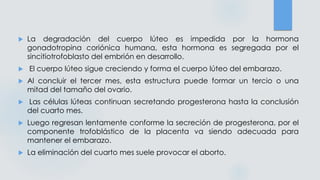  La degradación del cuerpo lúteo es impedida por la hormona
gonadotropina coriónica humana, esta hormona es segregada por el
sincitiotrofoblasto del embrión en desarrollo.
 El cuerpo lúteo sigue creciendo y forma el cuerpo lúteo del embarazo.
 Al concluir el tercer mes, esta estructura puede formar un tercio o una
mitad del tamaño del ovario.
 Las células lúteas continuan secretando progesterona hasta la conclusión
del cuarto mes.
 Luego regresan lentamente conforme la secreción de progesterona, por el
componente trofoblástico de la placenta va siendo adecuada para
mantener el embarazo.
 La eliminación del cuarto mes suele provocar el aborto.
 