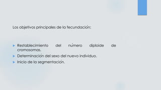 Los objetivos principales de la fecundación:
 Restablecimiento del número diploide de
cromosomas.
 Determinación del sexo del nuevo individuo.
 Inicio de la segmentación.
 