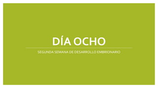 DÍA OCHO
SEGUNDA SEMANA DE DESARROLLO EMBRIONARIO
 