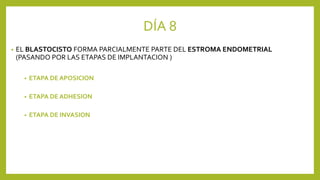 DÍA 8
• EL BLASTOCISTO FORMA PARCIALMENTE PARTE DEL ESTROMA ENDOMETRIAL
(PASANDO POR LAS ETAPAS DE IMPLANTACION )
• ETAPA DE APOSICION
• ETAPA DE ADHESION
• ETAPA DE INVASION
 
