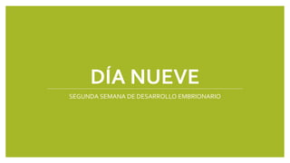 DÍA NUEVE
SEGUNDA SEMANA DE DESARROLLO EMBRIONARIO
 