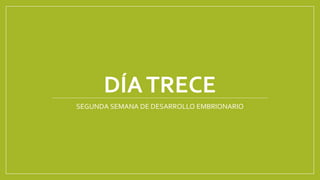DÍATRECE
SEGUNDA SEMANA DE DESARROLLO EMBRIONARIO
 
