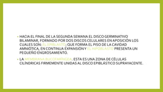 • HACIA EL FINAL DE LA SEGUNDA SEMANA EL DISCO GERMINATIVO
BILAMINAR, FORMADO POR DOS DISCOS CELULARES EN APOSICIÓN LOS
CUALES SON: EL EPIBLASTO; QUE FORMA EL PISO DE LA CAVIDAD
AMNIÓTICA, EN CONTINUA EXPANSIÓNY EL HIPOBLASTO PRESENTA UN
PEQUEÑO ENGROSAMIENTO.
• LA MEMBRANA BUCOFARÍNGEA. ESTA ES UNA ZONA DE CÉLULAS
CILÍNDRICAS FIRMEMENTE UNIDAS AL DISCO EPIBLÁSTICO SUPRAYACENTE.
 