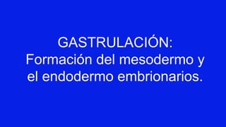 GASTRULACIÓN:
Formación del mesodermo y
el endodermo embrionarios.
 