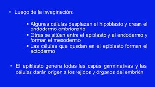 ▪ Algunas células desplazan el hipoblasto y crean el
endodermo embrionario
▪ Otras se sitúan entre el epiblasto y el endodermo y
forman el mesodermo
▪ Las células que quedan en el epiblasto forman el
ectodermo
• Luego de la invaginación:
• El epiblasto genera todas las capas germinativas y las
células darán origen a los tejidos y órganos del embrión
 