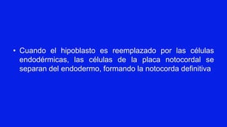 • Cuando el hipoblasto es reemplazado por las células
endodérmicas, las células de la placa notocordal se
separan del endodermo, formando la notocorda definitiva
 
