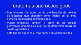 Teratomas sacrococcígeos
• Son tumores formados por la proliferación de células
pluripotentes que quedaron como restos de la línea
primitiva en al región sacrococcígea.
• Puede originarse también a partir de las células
germinales primordiales que no lograron mirar hacia las
crestas gonadales.
• Este tipo de tumor es el mas común en recién nacidos.
 