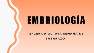 EMBRIOLOGÍA
TERCERA A OCTAVA SEMANA DE
EMBARAZO
 