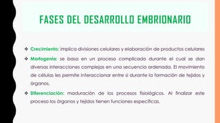FASES DEL DESARROLLO EMBRIONARIO
❖ Crecimiento: implica divisiones celulares y elaboración de productos celulares
❖ Morfogenia: se basa en un proceso complicado durante el cual se dan
diversas interacciones complejas en una secuencia ordenada. El movimiento
de células les permite interaccionar entre si durante la formación de tejidos y
órganos.
❖ Diferenciación: maduración de los procesos fisiológicos. Al finalizar este
proceso los órganos y tejidos tienen funciones específicas.
 