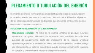 PLEGAMIENTO O TUBULACIÓN DEL EMBRIÓN
El embrión que tenía forma plana o discoidal hasta la etapa de gastrulación;
por medio de este mecanismo adopta una forma tubular. Al finalizar el proceso
de los pliegues embrionarios se podrá decir que el cuerpo embrionario queda
dentro de la cavidad amniótica.
PLEGAMIENTO DEL EMBRIÓN EN EL PLANO MEDIO:
• Plegamiento cefálico: Al inicio de la cuarta semana los pliegues neurales
aumentan de grosor formando así el esbozo del encéfalo. Durante este
proceso de plegamiento, parte del endodermo de la vesícula umbilical
queda integrada en el embrión en forma del intestino primitivo anterior. Luego
del plegamiento, el celoma pericárdico queda situado ventralmente respecto
al corazón y cranealmente respecto al septo transversal.
 