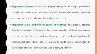 • Plegamiento caudal: Durante el plegamiento, parte de la capa germinativa
endodérmica queda incorporada en el embrión formando el intestino primitivo
posterior (primordio del colon descendente y el recto).
• Plegamiento del embrión en plano horizontal: Los pliegues laterales
derecho e izquierdo se forman en los bordes laterales del disco embrionario
con las paredes de la cavidad amniótica y el saco vitelino. Estrechará la
conexión del saco vitelino con el embrión, haciendo que la continuidad de
estos quede reducida a un estrecho tallo o pedículo vitelino
 