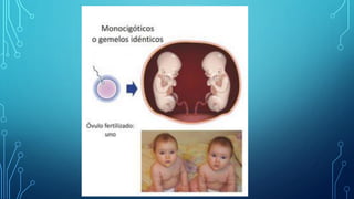 Histoembriología Diapositivas.pdf