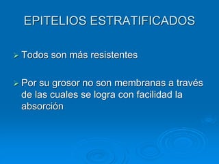 EPITELIOS ESTRATIFICADOS
➢ Todos son más resistentes
➢ Por su grosor no son membranas a través
de las cuales se logra con facilidad la
absorción
 