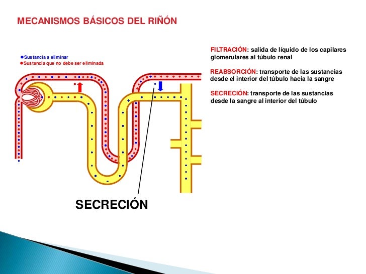 Zithromax online purchase canada