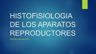 HISTOFISIOLOGIA
DE LOS APARATOS
REPRODUCTORES
ANDREA MORALES L.
 