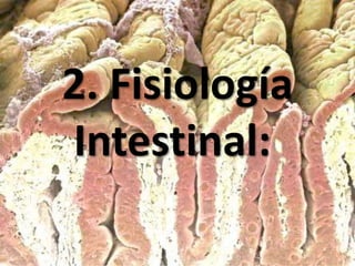2. Fisiología
Intestinal:
 