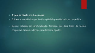  A pele se divide em duas zonas:
• Epiderme: constituída por tecido epitelial queratinizado em superfície
• Derme: situada em profundidade, formada por dois tipos de tecido
conjuntivo, frouxo e denso, estreitamente ligados
 
