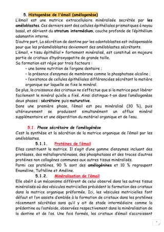7
5. Histogenèse de l'émail (amélogenèse)
L’émail est une matrice extracellulaire minéralisée secrétée par les
améloblastes. Ces derniers sont des cellules épithéliales prismatiques à noyau
basal, et dérivent du stratum intermédium, couche profonde de l’épithélium
adamantin interne.
D’autre part, La sécrétion de dentine par les odontoblastes est indispensable
pour que les préaméloblastes deviennent des améloblastes sécrétants.
L’émail, « tissu épithélial » fortement minéralisé, est constitué en majeure
partie de cristaux d’hydroxyapatite de grande taille.
Sa formation est régie par trois facteurs :
– une bonne nutrition de l’organe dentaire ;
– la présence d’enzymes de membrane comme la phosphatase alcaline ;
– l’existence de cellules épithéliales différenciées sécrétant la matière
organique sur laquelle se fixe le minéral.
De plus, la croissance des cristaux ne s’effectue que si la matrice peut libérer
facilement le minéral qu’elle a fixé. Ainsi distingue-t-on dans l’amélogenèse
deux phases : sécrétoire puis maturative.
Dans une première phase, l’émail est peu minéralisé (30 %), puis
ultérieurement se produisent simultanément un afflux minéral
supplémentaire et une déperdition du matériel organique et de l’eau.
5.1. Phase sécrétoire de l’amélogénèse
C’est la synthèse et la sécrétion de la matrice organique de l’émail par les
améloblastes.
5.1.1. Protéines de l’émail
Elles constituent la matrice. Il s’agit d’une gamme d’enzymes incluant des
protéases, des métalloprotéinases, des phosphatases et des traces d’autres
protéines non collagènes communes aux autres tissus minéralisés.
Parmi ces protéines, 90 % sont des amélogénines et 10 % regroupent
Enaméline, Tuftéline et Améline.
5.1.2. Minéralisation de l’émail
Elle obéit à un mécanisme différent de celui observé dans les autres tissus
minéralisés où des vésicules matricielles précèdent la formation des cristaux
dans la matrice organique préformée. Ici, les vésicules matricielles font
défaut et l’on assiste d’emblée à la formation de cristaux dans les protéines
récemment sécrétées sans qu’il y ait de stade intermédiaire comme la
prédentine ou l’ostéoïde, observées respectivement dans la minéralisation de
la dentine et de l’os. Une fois formés, les cristaux d’émail s’accroissent
 