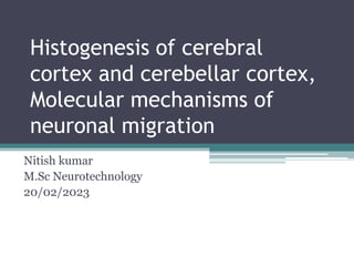 Histogenesis of cerebral
cortex and cerebellar cortex,
Molecular mechanisms of
neuronal migration
Nitish kumar
M.Sc Neurotechnology
20/02/2023
 