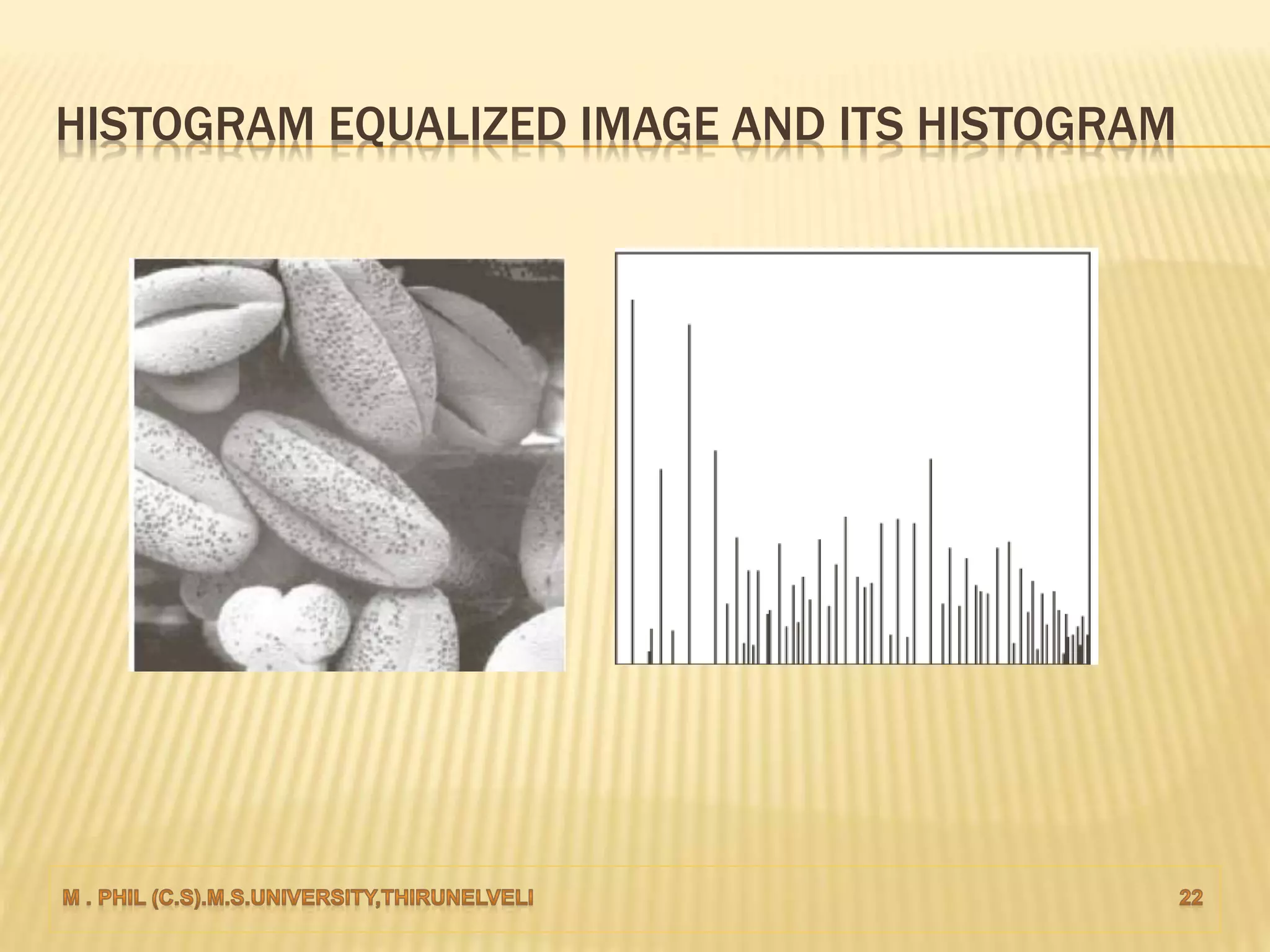 HISTOGRAM EQUALIZED IMAGE AND ITS HISTOGRAM
 