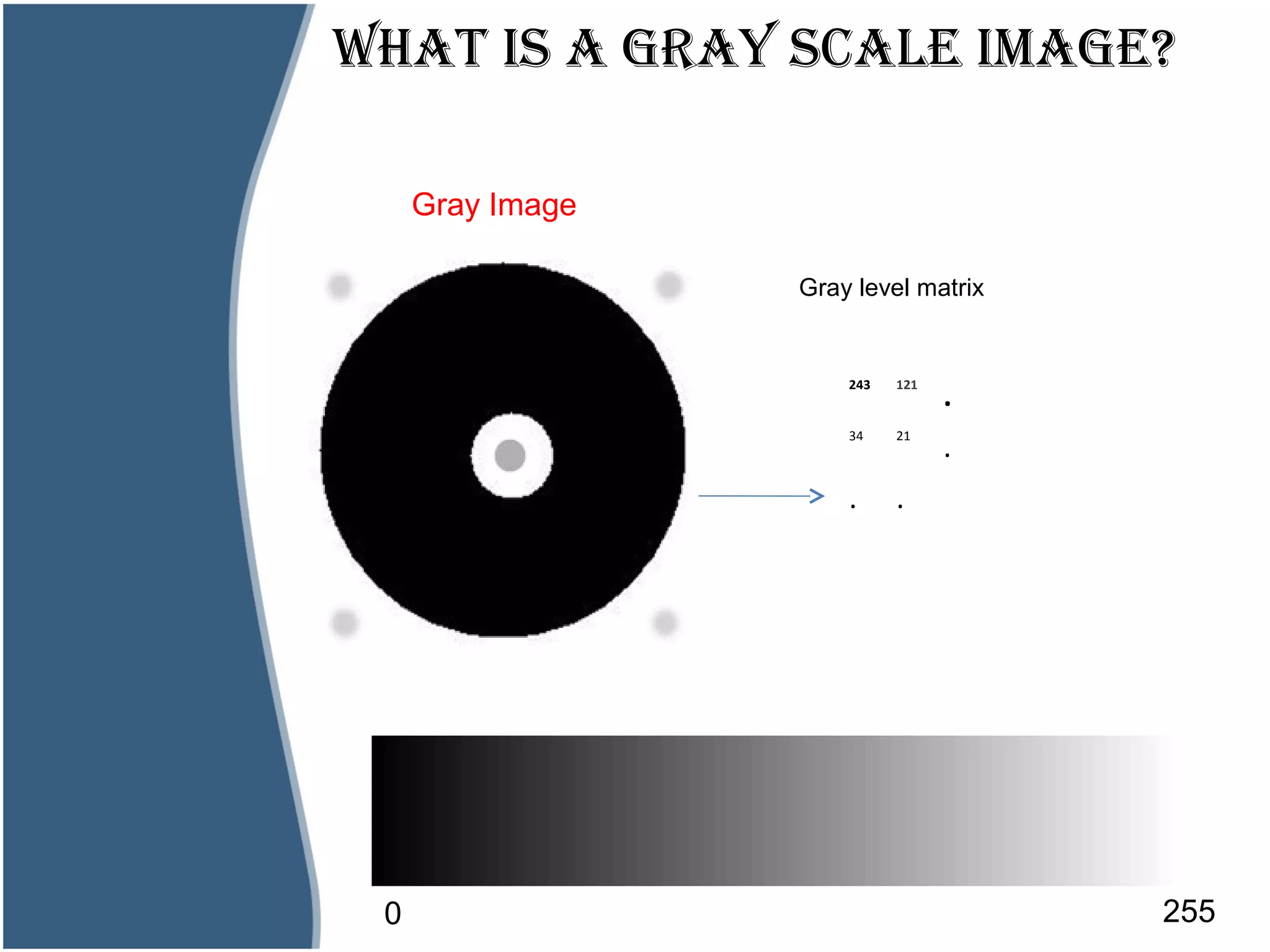dGray Image
Image
wHAT IS A GRAy SCALE IMAGE?
243 121
.
34 21
.
. .
Gray level matrix
0 255
 