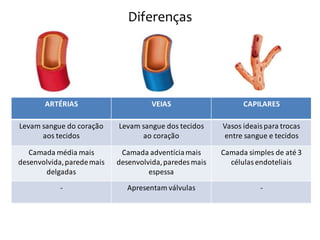 Diferenças




       ARTÉRIAS                       VEIAS                    CAPILARES

Levam sangue do coração     Levam sangue dos tecidos     Vasos ideais para trocas
      aos tecidos                 ao coração             entre sangue e tecidos

   Camada média mais         Camada adventícia mais      Camada simples de até 3
desenvolvida, parede mais   desenvolvida, paredes mais     células endoteliais
       delgadas                      espessa
            -                  Apresentam válvulas                  -
 
