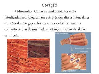 Coração
        # Miocárdio: Como os cardiomiócitos estáo
interligados morfologicamente através dos discos intercalares
(junções do tipo gap e desmossomos), eles formam um
conjunto celular denominado sincício, o sincício atrial e o
ventricular.
 
